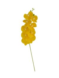 Orchidee XL op steel, bloemkoppen ca. Ø11cm, geel zijde 100 x 20 cm