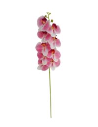 Orchidee XL op steel, bloemkoppen ca. Ø11cm, roze / wit zijde 100 x 20 cm