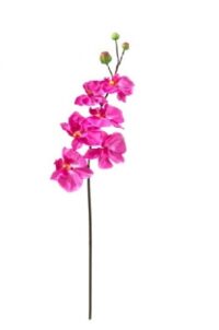 Orchidee XL op steel, bloemkoppen ca. Ø16cm, fuchsia zijde 130 x 20 cm