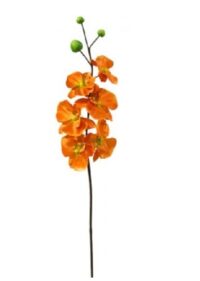 Orchidee XL op steel, bloemkoppen ca. Ø16cm, oranje zijde 130 x 20 cm