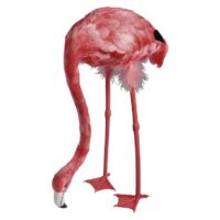 Flamingo head down (met veren) c.a. 70 cm
