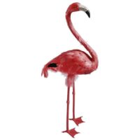 Flamingo head up (met veren) c.a. 107 cm