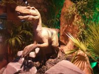 Dino's