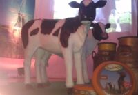 Hollands